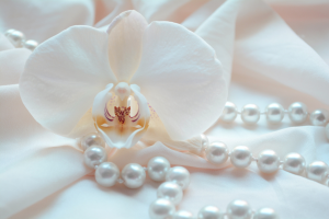 labiaplasty in Miami,